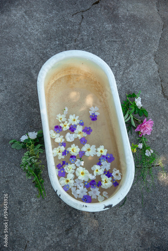 Flowers in a bath on the cement floor.