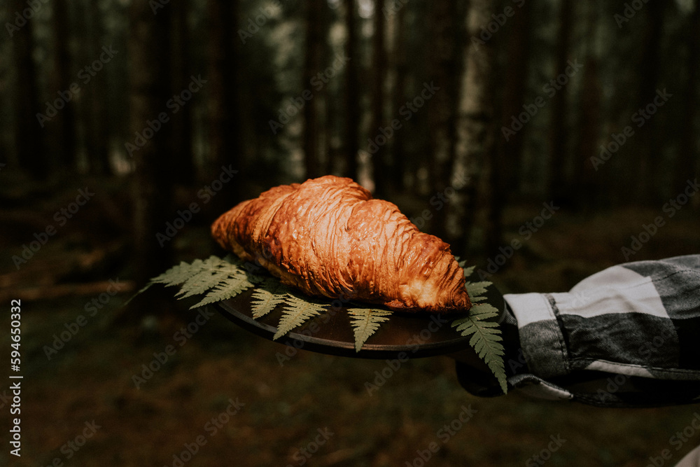 French croissant in a pine forest