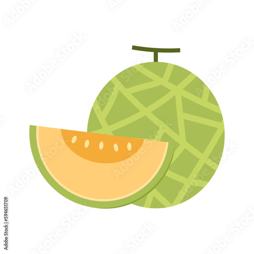 Melon vector. melon on white background. wallpaper. logo design. 