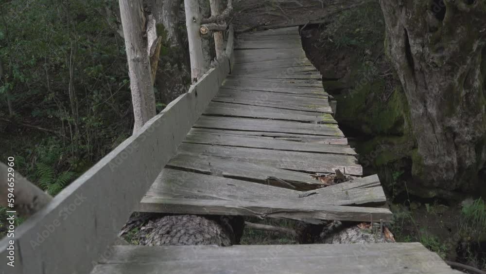 Old damaged rustic wooden bridge over a creek in the woods Old damaged rustic wooden bridge over a creek in the woods