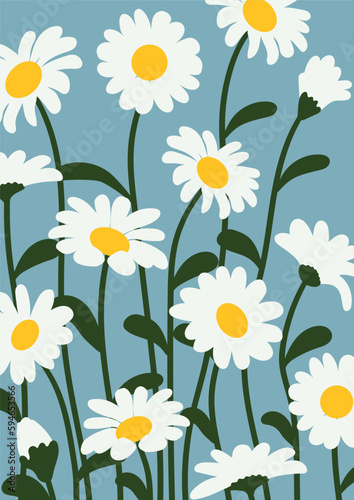 Daisy flower background.Eps 10 vector. © yutthasak