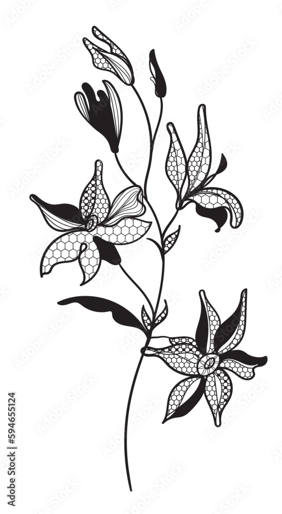 Obraz premium lace flower, bouquet, vector illustration