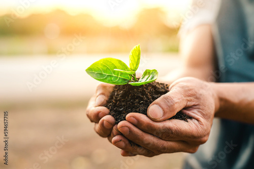 Planting a tree. Close-up on men hands holding green seedling. Soil Planting and Seeding concept. New life, eco, sustainable living, zero waste, plastic free, earth day, investment concept.