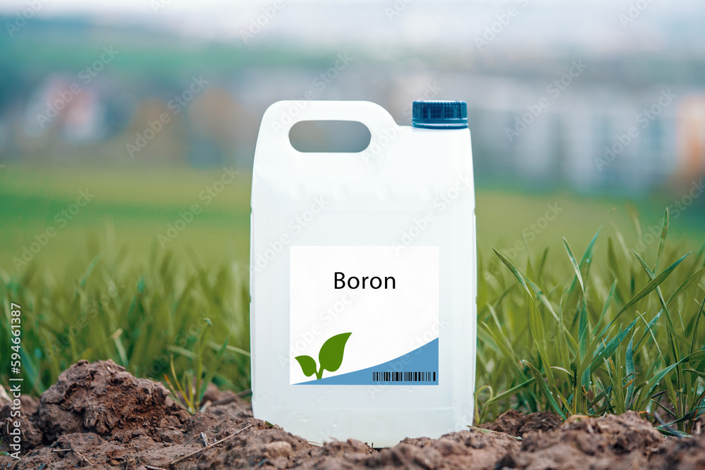 Foto de Boron an essential nutrient for plant growth that promotes cell wall formation, seed