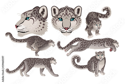 rare animals snow leopard realistic set