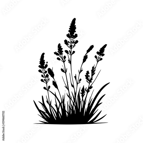 Lavender - Black and White Isolated Icon - Vector illustration