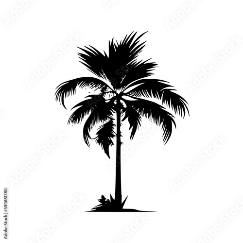 Palm Tree | Minimalist and Simple Silhouette - Vector illustration