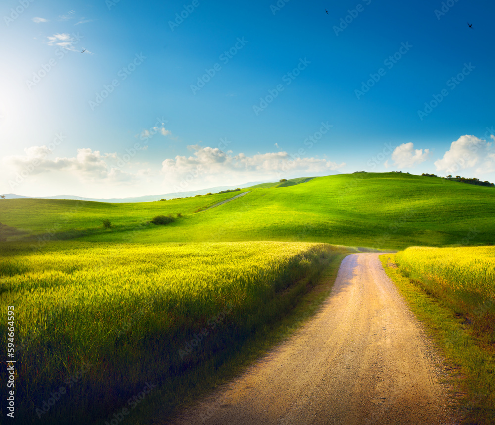 Fototapeta premium Italian Countryside Panorama of summer green field with dirt road and cloudy blue sky. Beautiful Italian summer rural landscape;