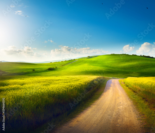 Italian Countryside Panorama of summer green field with dirt road and cloudy blue sky. Beautiful Italian summer rural landscape 