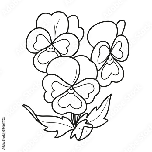 Pansy flowers coloring book linear drawing isolated on white background