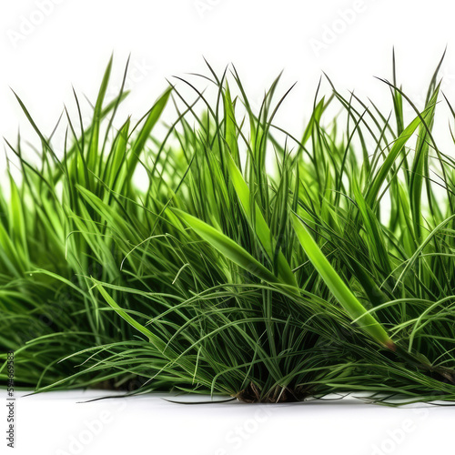 Green Grass On White Background. Generative AI