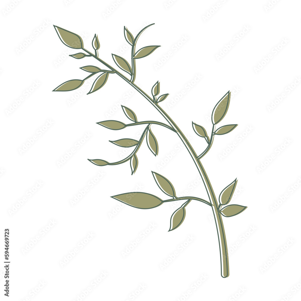 Fototapeta premium Minimalist Aesthetic Leaf