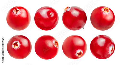 eight cranberries in different angles on a white isolated background