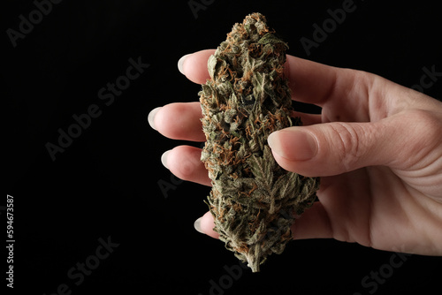 The dried bud of medical cannabis in a woman's hand on a black background. Macro