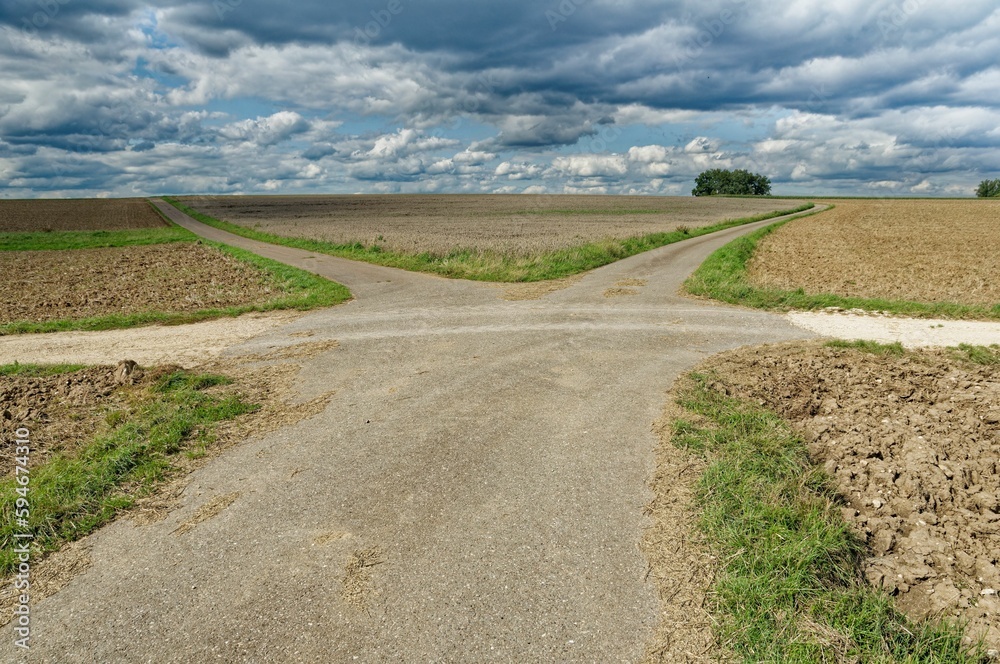 Unpaved rural road winding its way through a lush, green field