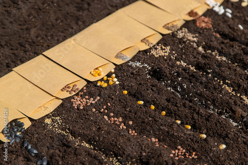 Sow different seeds in the garden. Selective focus.