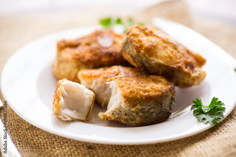 A piece of hake fish fried in a crispy crust, in a plate. A piece of hake fish fried in a crispy crust, in a plate.