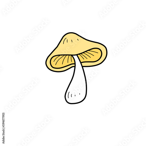 mushroom illustration