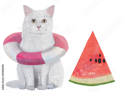 猫と赤すいか白背景_横