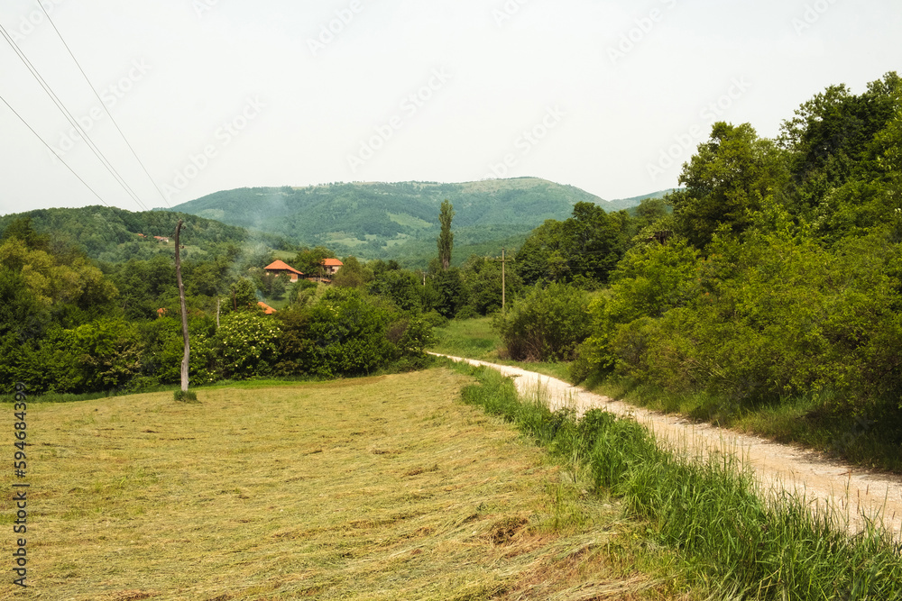 Scenic countryside road to a small mountain village in Eastern Serbia on a summer day