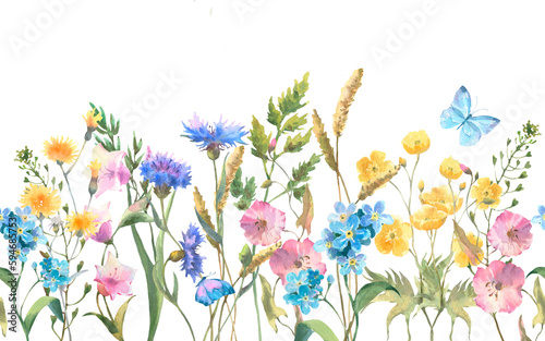 Seamless border with Herbs and wild flowers, leaves, butterflies. Botanical Illustration on white background. Template with place for text.