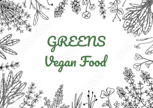 Herbs and green vegetables horizontal design. Hand draw background with cooking ingredients in sketch style. Detailed vector illustration