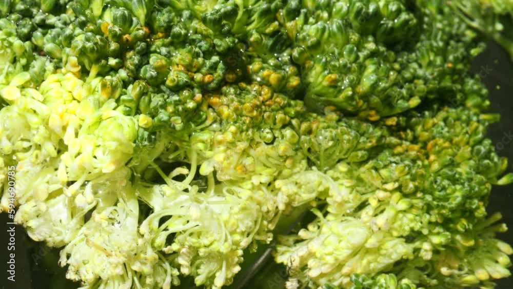 video of broccoli in water. Natural and healthy food concept. video of broccoli in water. Natural and healthy food concept.