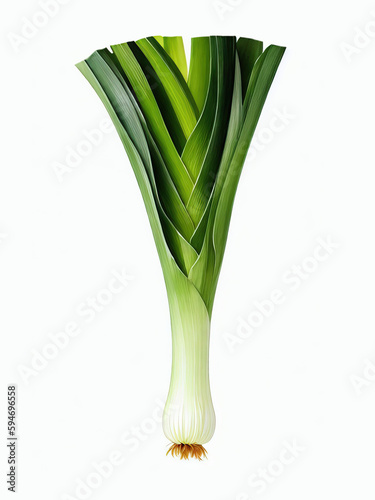 Fresh Leeks Vegetable Watercolor Illustration | AI Generated