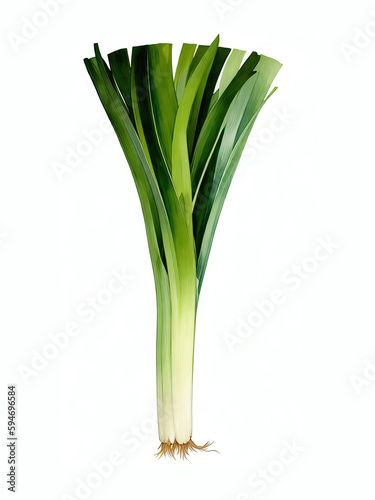 Fresh Leeks Vegetable Watercolor Illustration | AI Generated