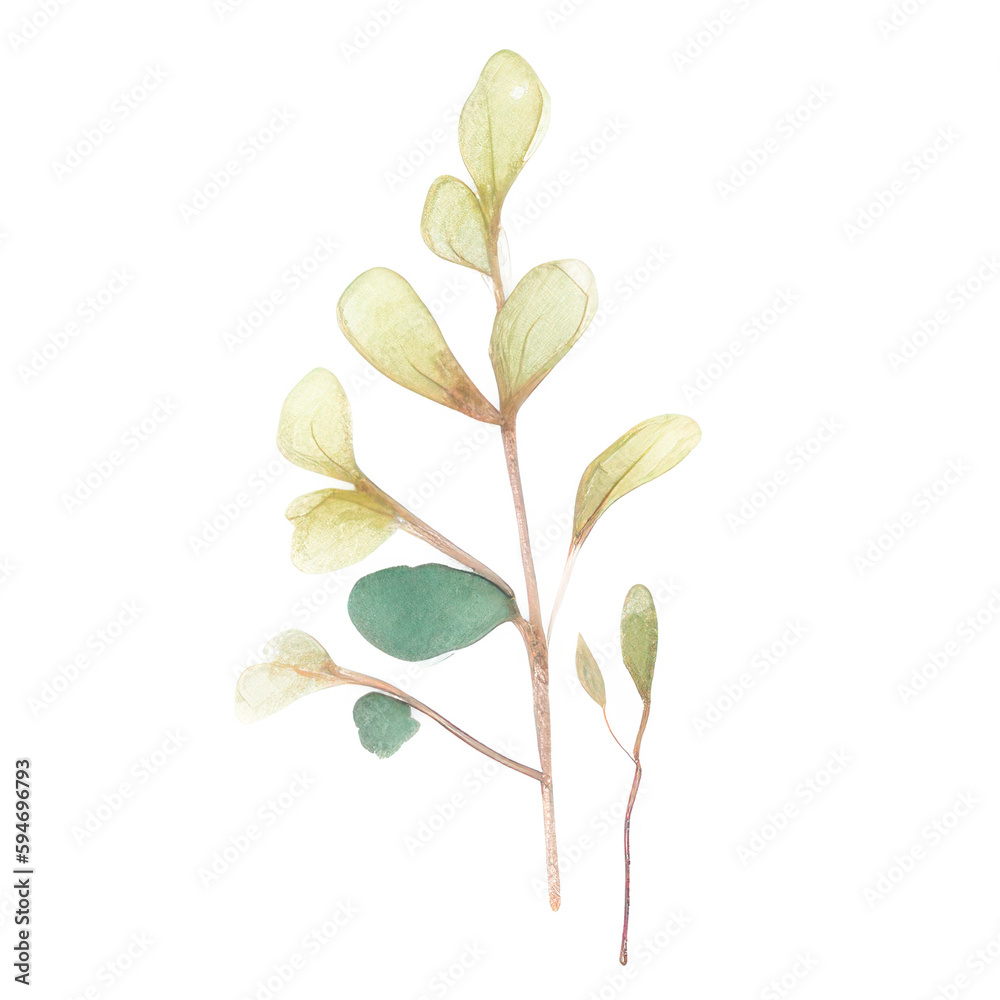 Naklejka premium Watercolor Indoor Plants - Elements