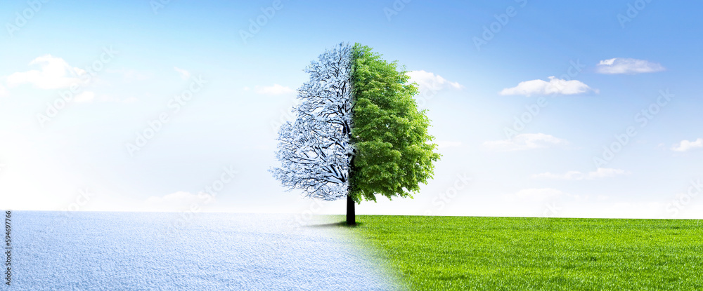 Fototapeta premium Wechsel der Jahreszeit von Winter zu Sommer