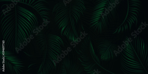 Green palm tree leaves on dark background. Tropical palm leaves, floral pattern vector illustration.