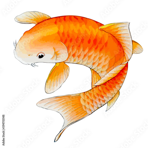 Hand drawn watercolor vector illustration of golden koi carp fish