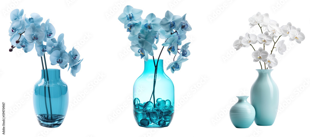 Group of vases of Orchid flowers in blue and white. Isolated on transparent background. Created using Generative AI.

