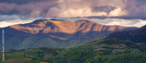 panorama of a mountainous rural area with rolling hills and grassy meadows in early spring at sunset. forested ridge in the distance beneath a dramatic cloudy sky in evening light