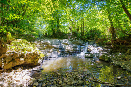 moss covered rocks in the creek. outdoor nature scenery of carpathian woodland