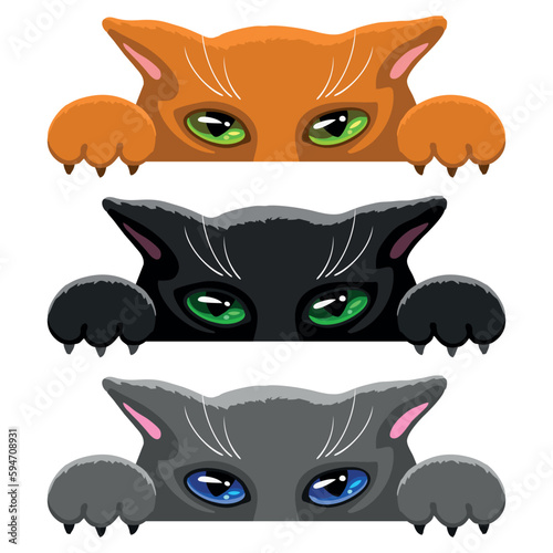 Kot, kotek w trzech kolorach. Rudy, czarny i szary kot, zaczepiony łapkami o krawędź. Kocie łapki z pazurkami. Kotek z wielkimi oczami. Rysunek wektorowy kota. Kolorowe kotki - ilustracja