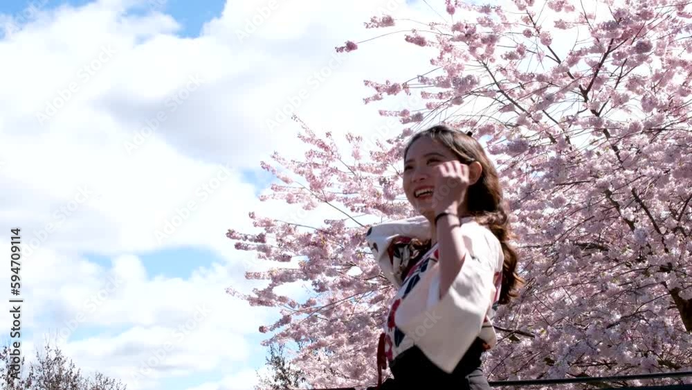 beautiful asian woman laughing throwing her hair in wind against backdrop of cherry blossoms and blue sky with white clouds embroidered japanese national dress chinese korean bright face young girl beautiful asian woman laughing throwing her hair in wind against backdrop of cherry blossoms and blue sky with white clouds embroidered japanese national dress chinese korean bright face young girl