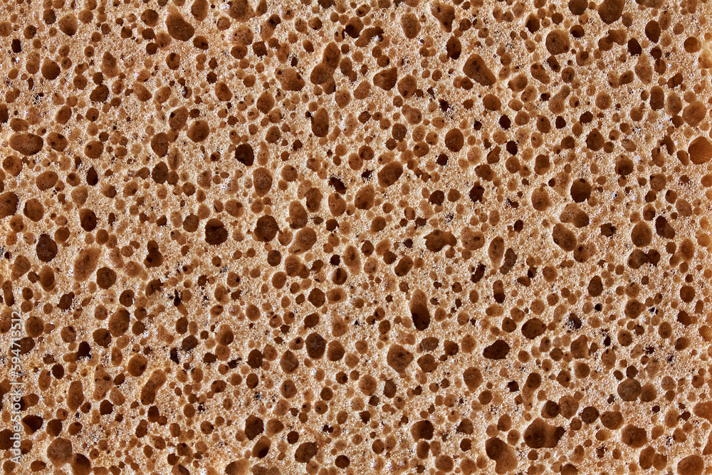 Foam sponge texture. The pores are clearly visible in close-up. Foam sponge texture. The pores are clearly visible in close-up.