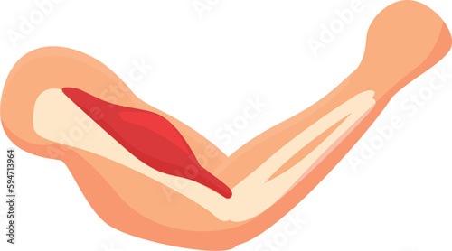 Flex muscle icon cartoon vector. Strong arm. Hand body