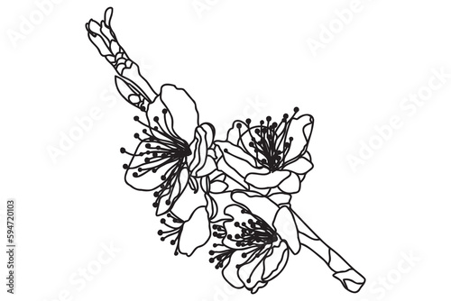 
a blossoming tree branch is drawn in black outline, it is intended for print, postcard, tattoo, logo, March 8, Valentine and you can use it in different cases.