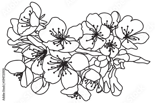 
a blossoming tree branch is drawn in black outline, it is intended for print, postcard, tattoo, logo, March 8, Valentine and you can use it in different cases.