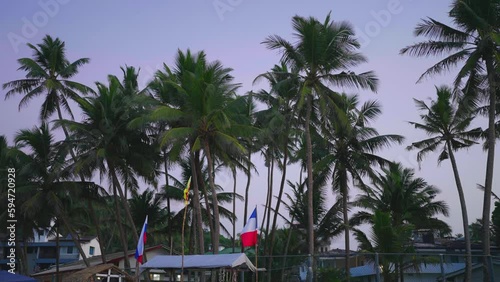 View of the Palm Trees in the morning with dusk sky background. Tropical Vacation. Surf boars rent. Russian, Sri Lankian and French flags. photo