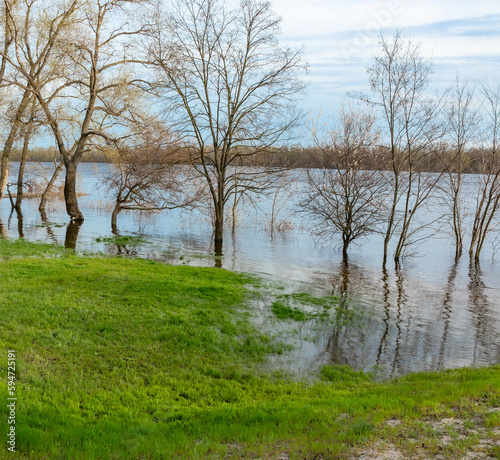 Water floods the trees on the bank of a wide river. River floodplain on a spring sunny day © Vlad Kazhan