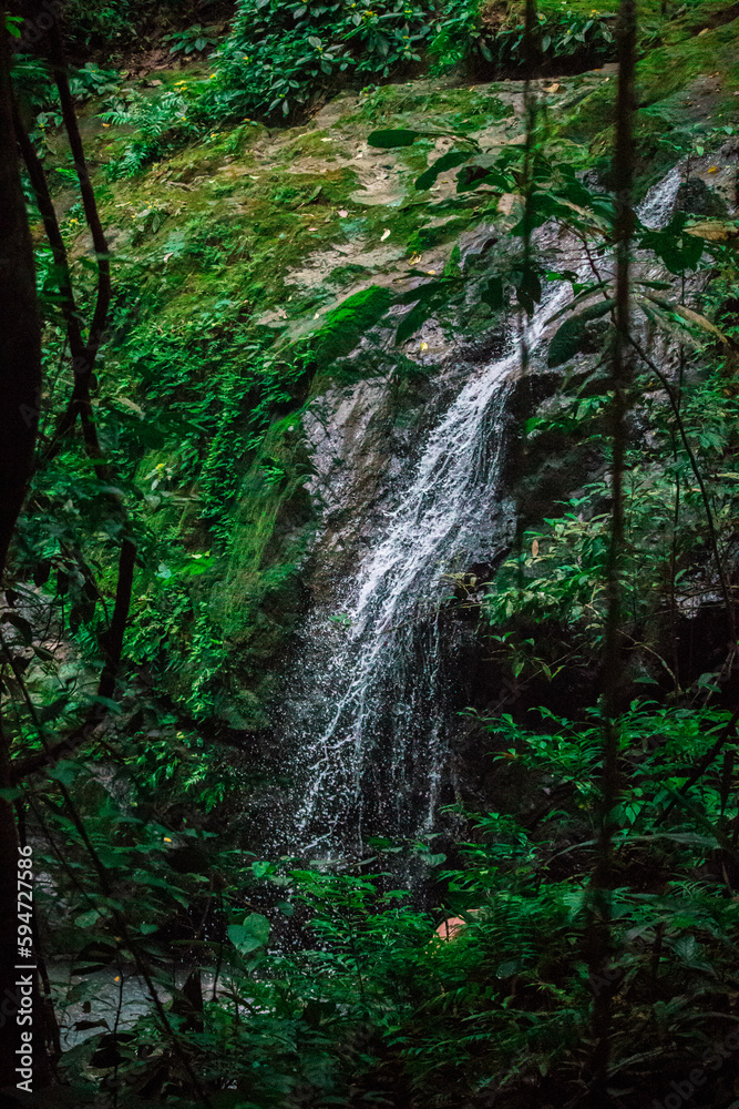Fototapeta premium Close up of a small waterfall in Costa Rica rain forest