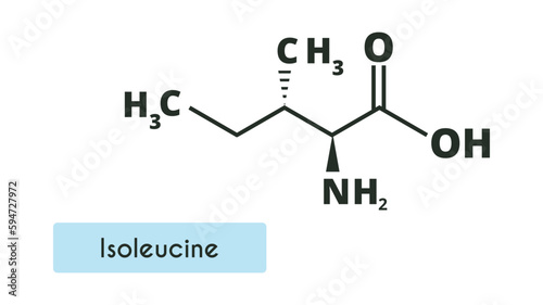 Isoleucine Molecule Structure. (L-isoleucine, Ile, I). Skeletal formula. Amino acid.
