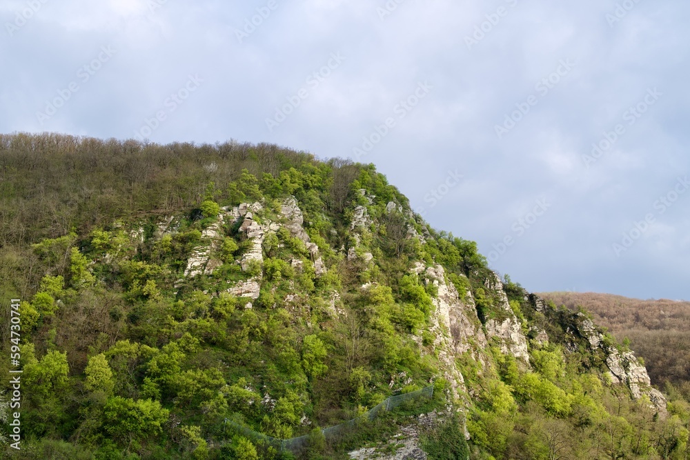 small mountain with fresh green in the spring
