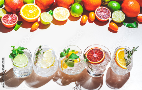 Canvas Print Gin tonic citrus and herb cocktails set, top view