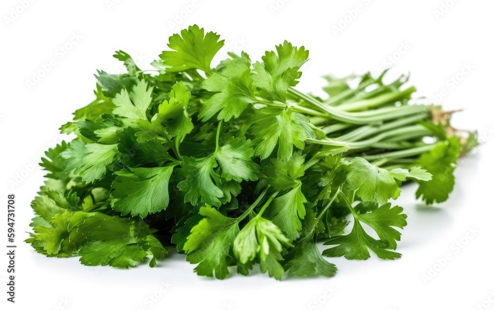 Coriander leaves isolated on white background, Generative AI Coriander leaves isolated on white background, Generative AI