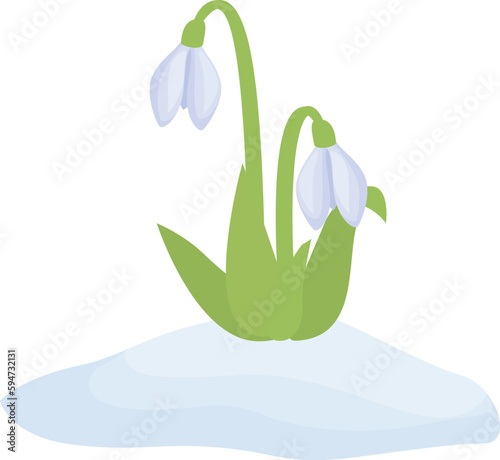 Spring snowdrop icon cartoon vector. Snow grass. Floral petal